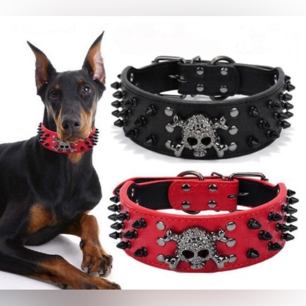 Spiked Skull Dog Collar